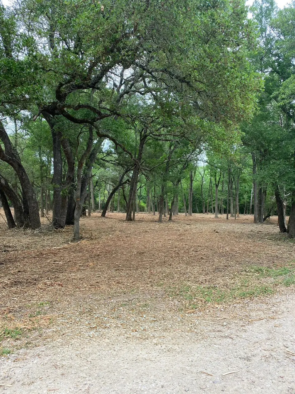 Cleared land after Apache Mulching job in Central Texas