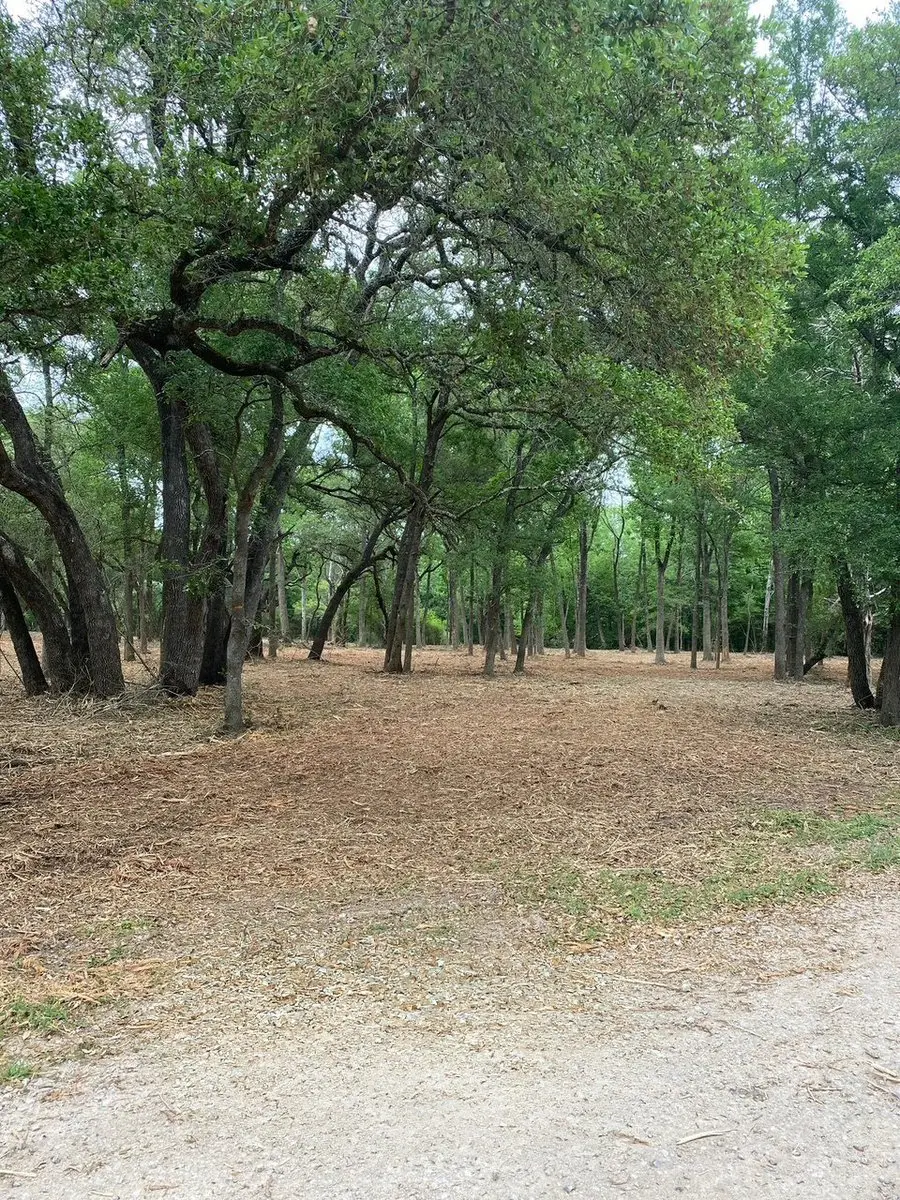 Open cleared pasture after Apache Mulching land clearing near Cedar Park