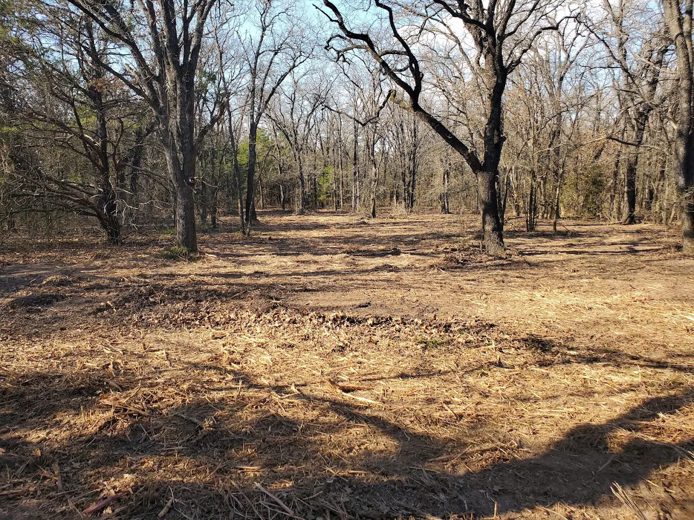 Apache Mulching cedar removal equipment at work in Central Texas