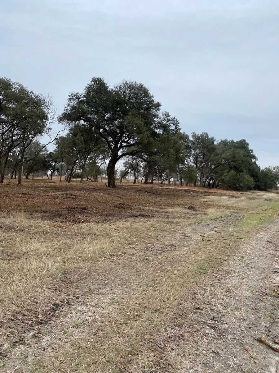 Reclaimed open acreage after Apache Mulching forestry mulching in Williamson County