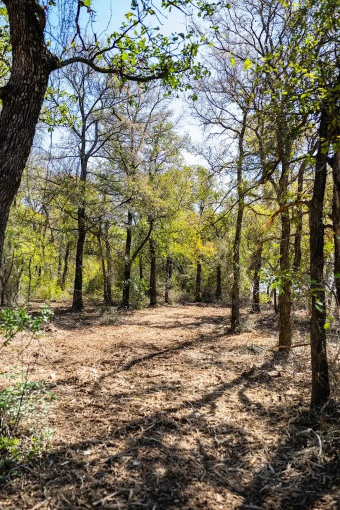 Apache Mulching land clearing crew and equipment serving Jarrell, Williamson County