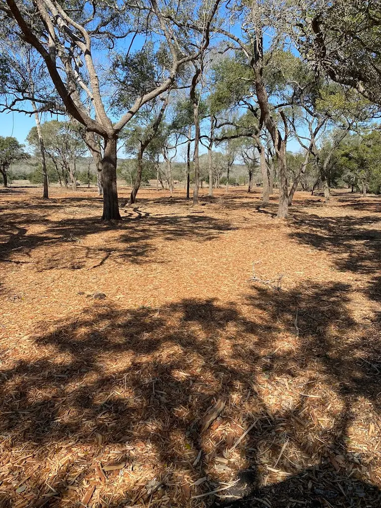 Apache Mulching heavy equipment at an Austin area land clearing job