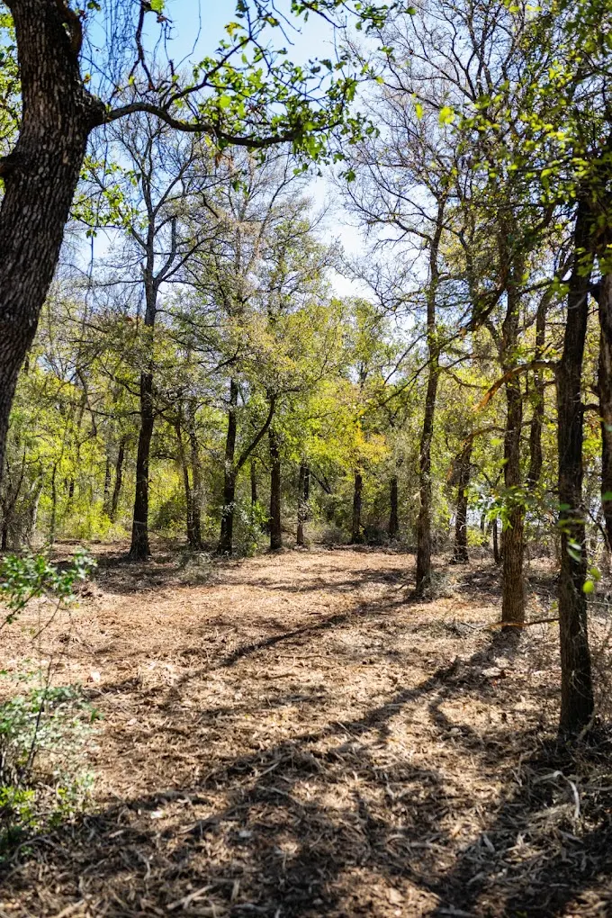Apache Mulching equipment clearing land in Blanco County Texas